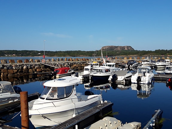 Quicksilver Pilothouse 630 2 of 5
