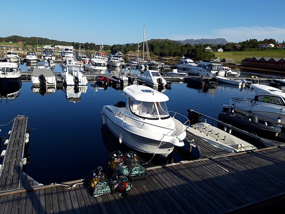 Quicksilver Pilothouse 630 4 of 5