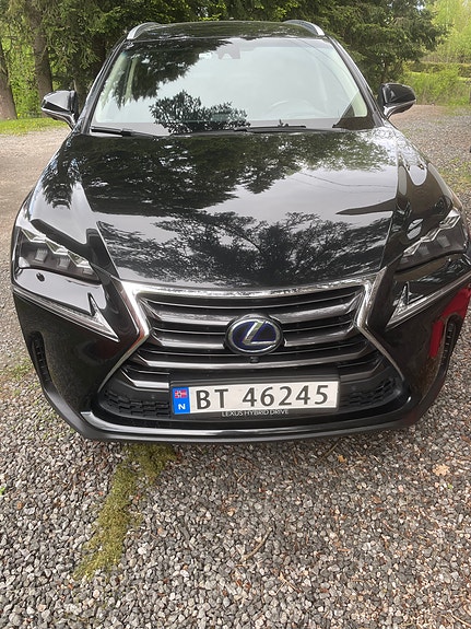 Lexus NX300h 2 of 5