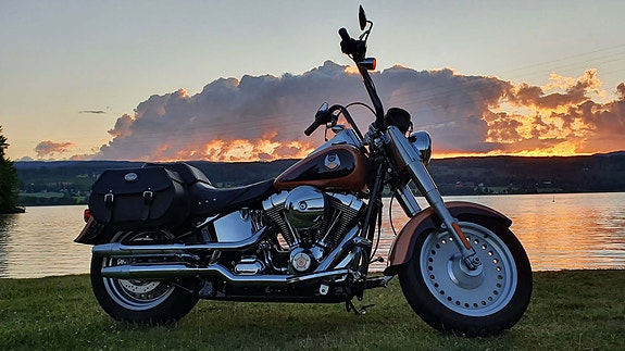 Harley-Davidson Fatboy 3 of 15