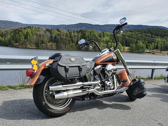 Harley-Davidson Fatboy 11 of 15