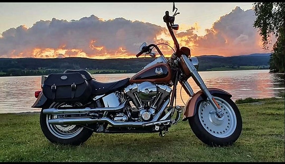 Harley-Davidson Fatboy 14 of 15