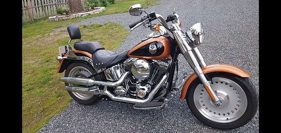 Harley-Davidson Fatboy 6 of 15