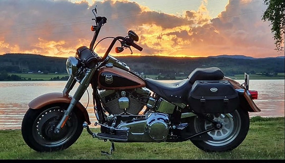 Harley-Davidson Fatboy 15 of 15