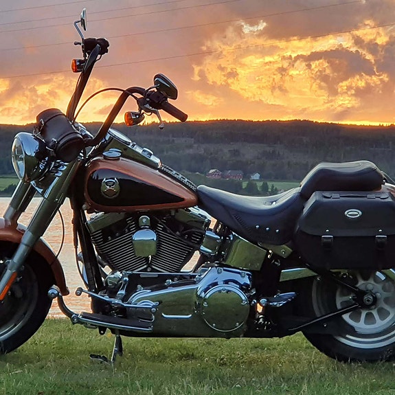Harley-Davidson Fatboy 2 of 15