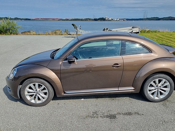 Volkswagen Beetle 3 of 15