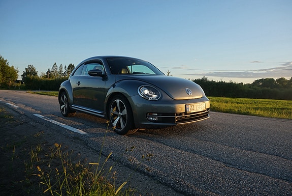 Volkswagen Beetle 13 of 18