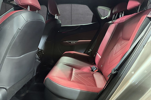 Lexus NX450h 13 of 23