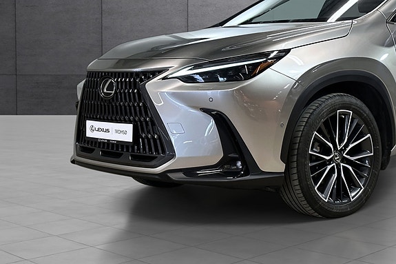 Lexus NX450h 5 of 5