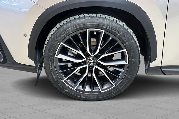 Lexus NX450h 7 of 23