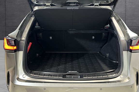 Lexus NX450h 12 of 23