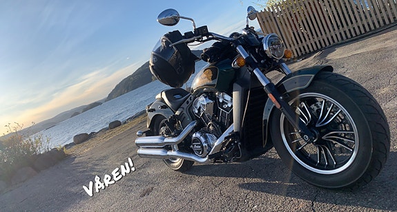 INDIAN Scout Metallic Jade/Thunder Black 4 of 5