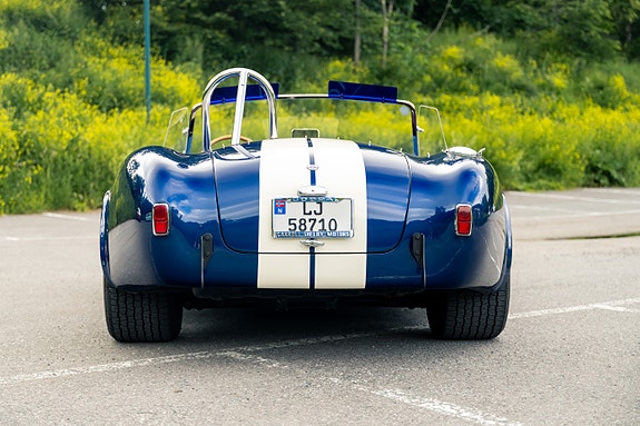AC Cobra 12 of 30