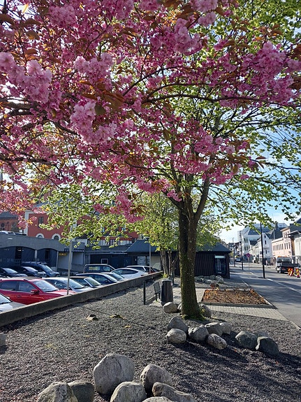 Bilde 8 av 9 i jobbannonse-galleriet