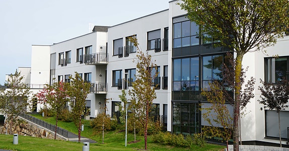 Bilde 3 av 5 i jobbannonse-galleriet