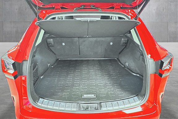 Lexus NX450h 20 of 30