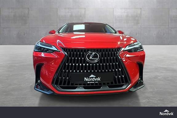 Lexus NX450h 9 of 30