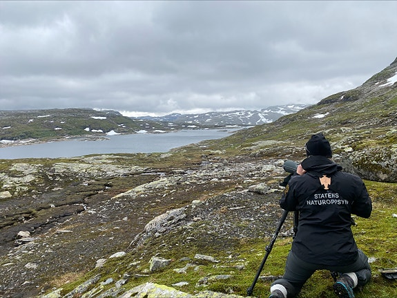 Bilde fra arbeidsgiver