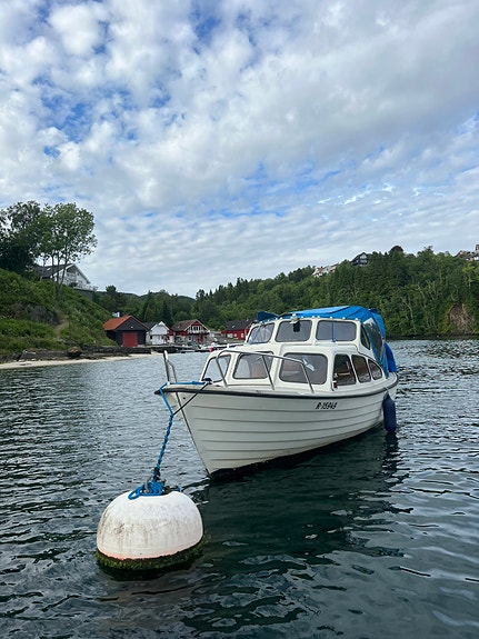 Polar med hardtop, ca. 22 fot – brukbar snekke med Volvo Penta (selges rimelig) 4 of 5