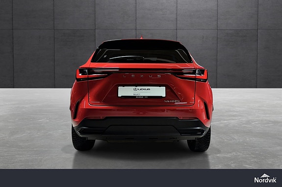 Lexus NX450h 11 of 29
