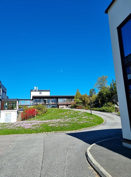 Skoleplass