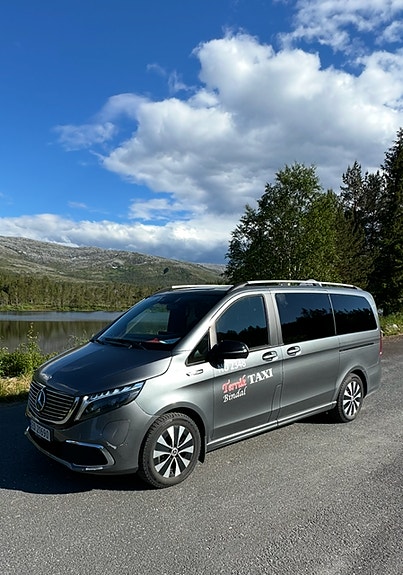 Mercedes-Benz EQV300 4 of 5