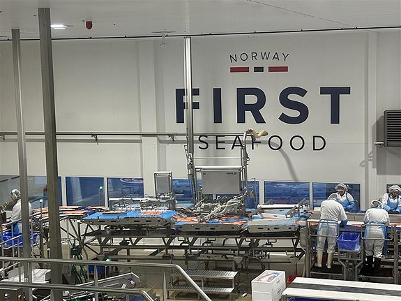 Bilde 1 av 1 i jobbannonse-galleriet