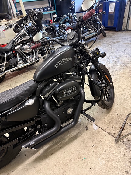 Harley-Davidson XL 883N Iron 2 of 5
