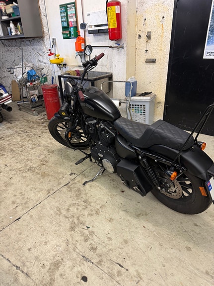 Harley-Davidson XL 883N Iron 5 of 5