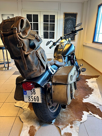 Harley-Davidson FXDF Dyna Fat Bob 5 of 5