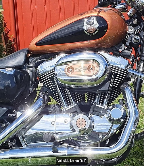Harley-Davidson XL1200 Sportster 3 of 5