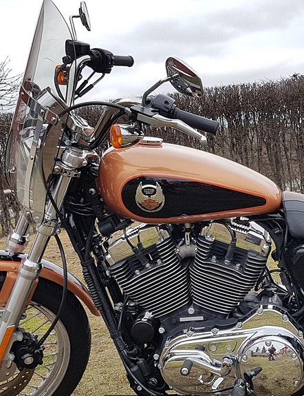 Harley-Davidson XL1200 Sportster 5 of 5