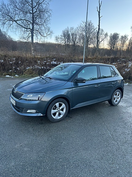 Skoda Fabia 5 of 19