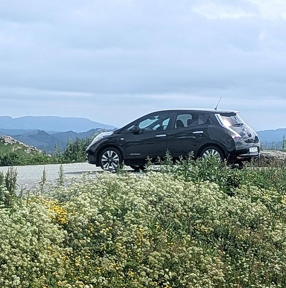 Nissan Leaf 4 of 26