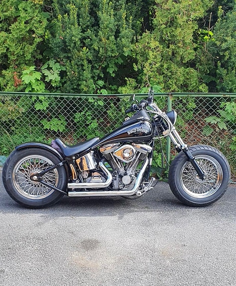 Harley-Davidson FXST Softail 4 of 5