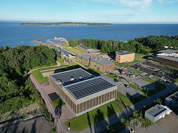 Bilde 2 av 3 i jobbannonse-galleriet