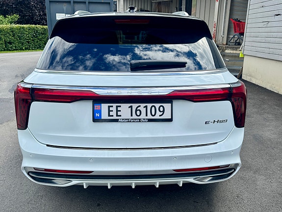 Hongqi E-HS9 5 of 22