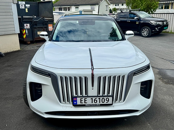 Hongqi E-HS9 12 of 22