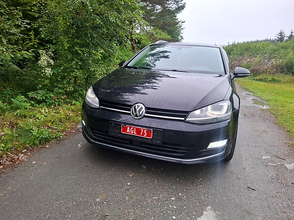 Volkswagen Golf VII 20 of 20