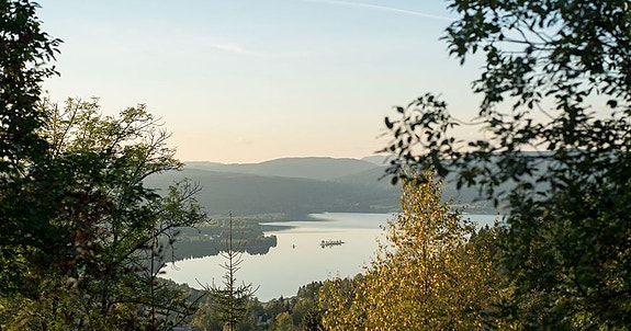 Bilde 1 av 1 i jobbannonse-galleriet