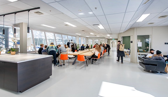 Bilde 8 av 9 i jobbannonse-galleriet