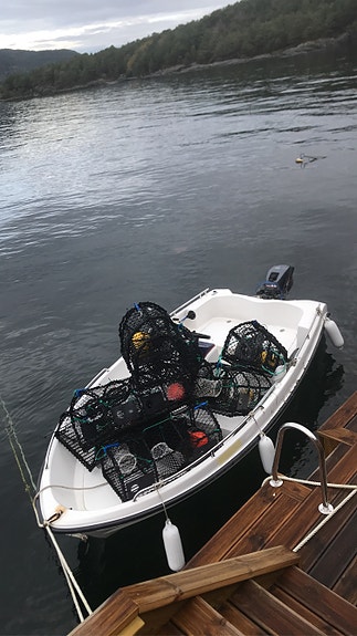 Viksund With 385 Sport med 30hk Yamaha 5 of 5