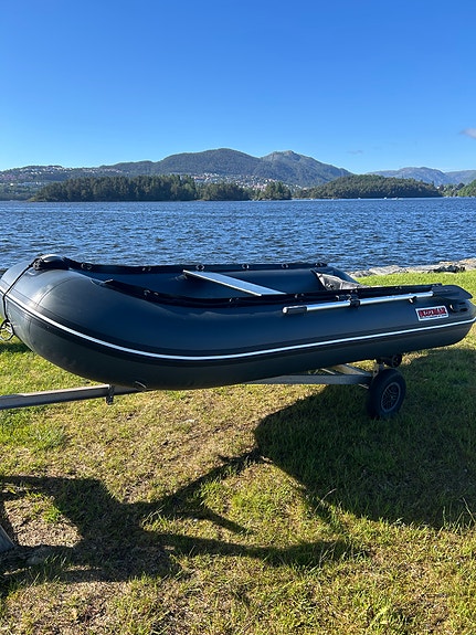 Suzumar DS 320 AL 2 of 5