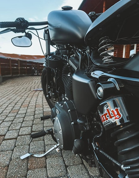Harley-Davidson XL 883N Iron 3 of 5