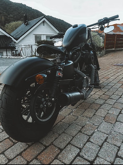 Harley-Davidson XL 883N Iron 5 of 5