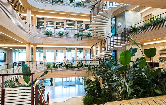 Bilde 3 av 9 i jobbannonse-galleriet