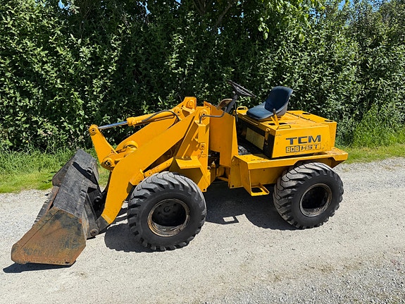 TCM 808 hst tomfighter med ny motor 2 of 5