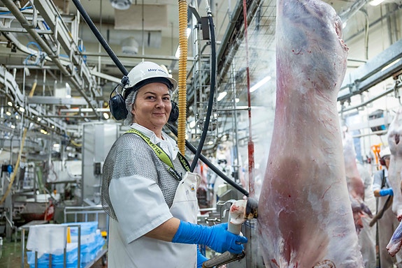 Bilde 2 av 5 i jobbannonse-galleriet