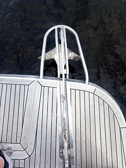 Nimbus 340 Commander – 2008 | Tidløs eleganse og førsteklasses komfort 16 of 30