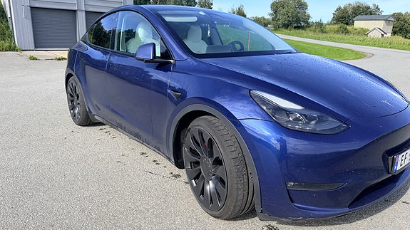 Tesla Model Y 8 of 16